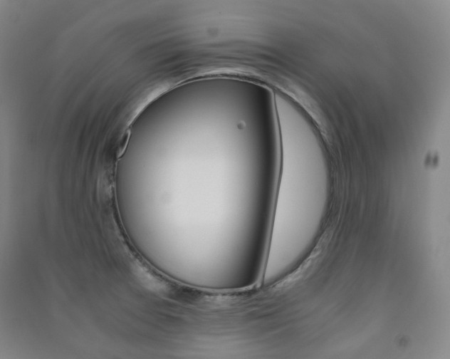 X0000091501377200708161225