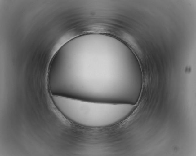 X0000091501378200708161225