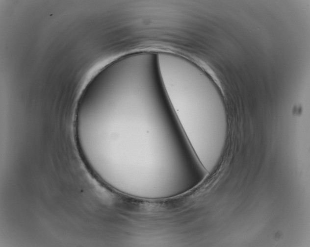 X0000091501379200708161225