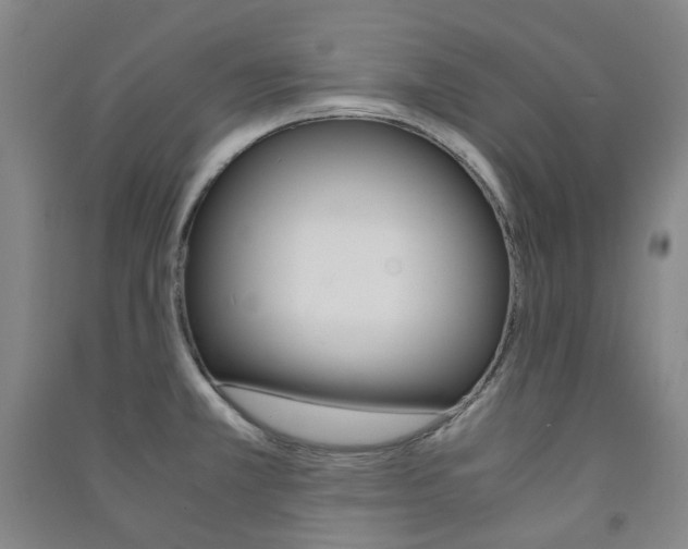 X0000091501381200708161225