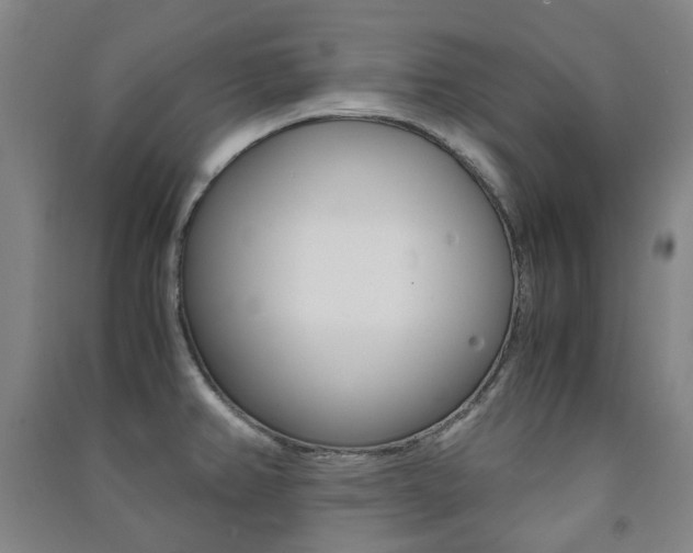 X0000091501382200708161225