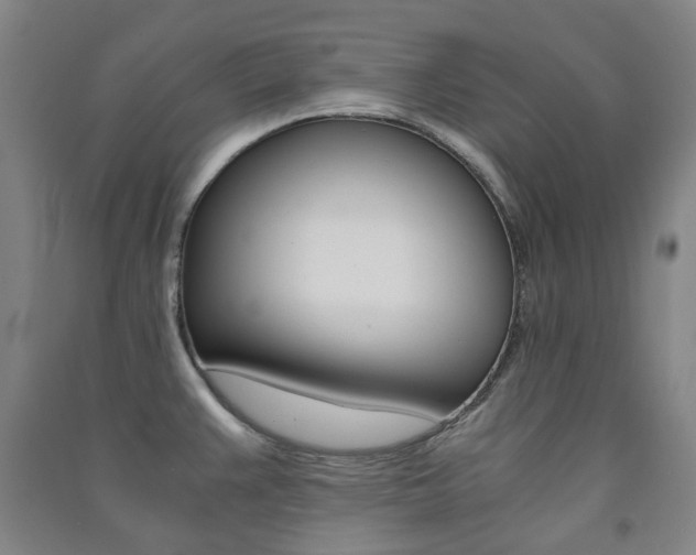 X0000091501383200708161225