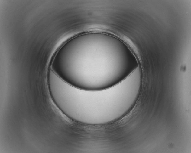X0000091501384200708161225