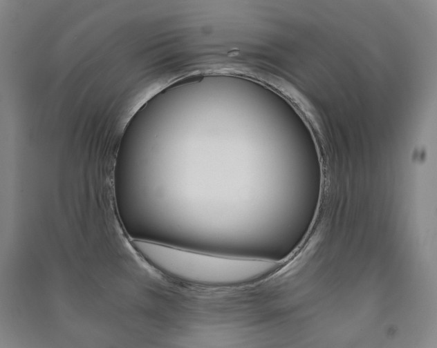 X0000091501385200708161225