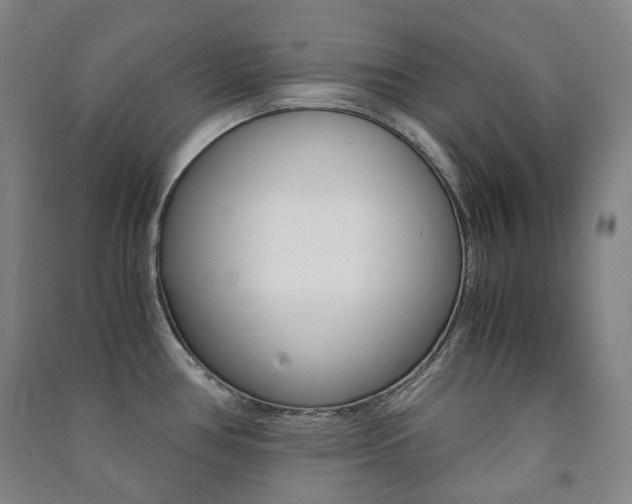X0000091501386200708161225