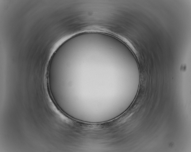 X0000091501387200708161225
