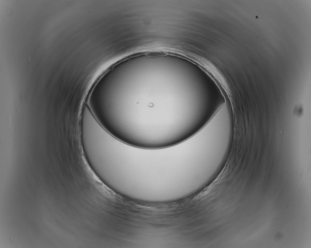 X0000091501388200708161225