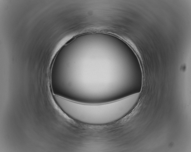 X0000091501389200708161225