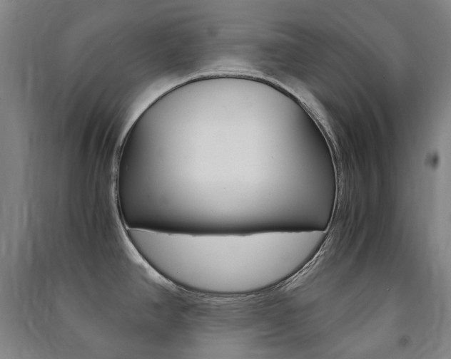 X0000091501390200708161225