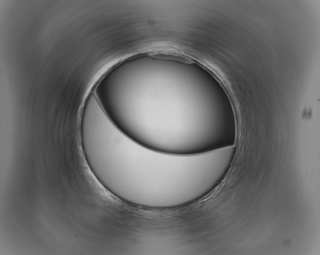X0000091501392200708161225