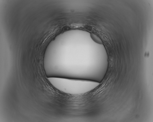 X0000091501393200708161224