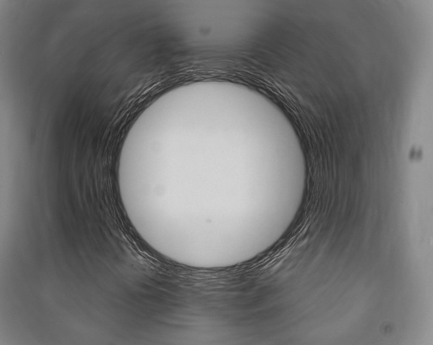 X0000091501394200708161224