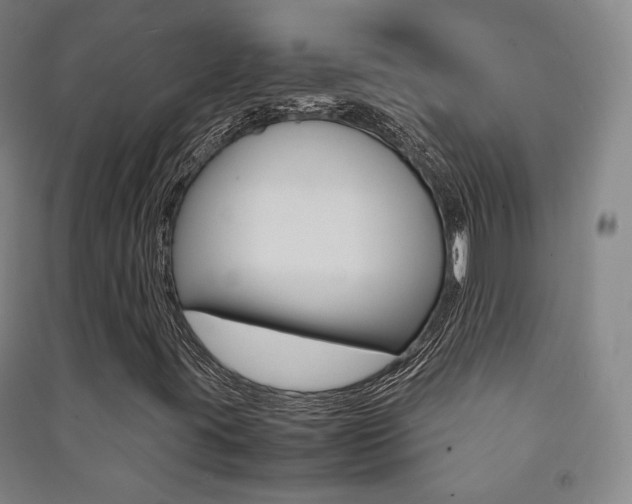 X0000091501395200708161224