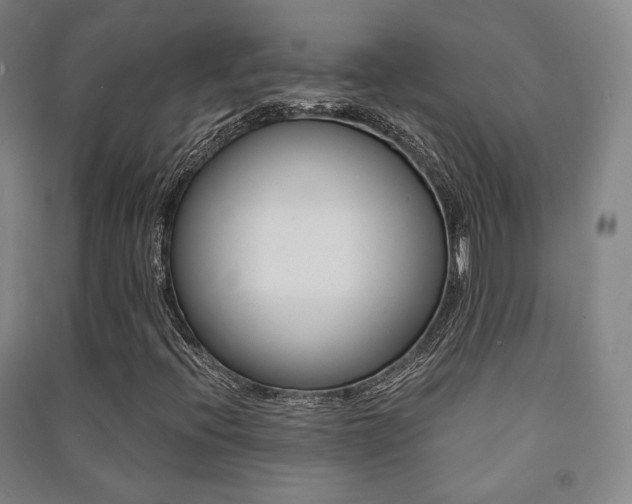 X0000091501396200708161224