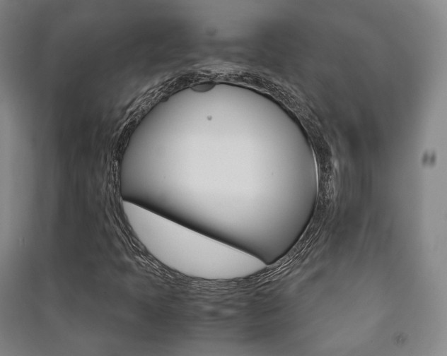 X0000091501397200708161224