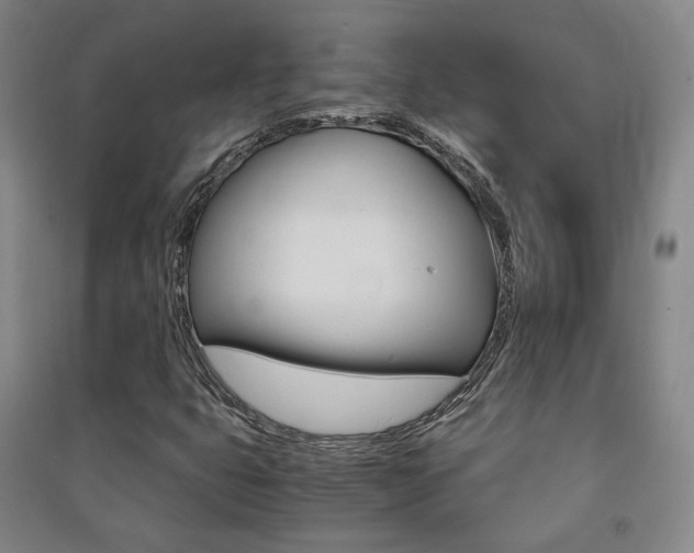 X0000091501399200708161224