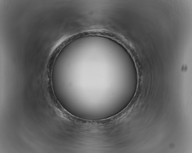 X0000091501400200708161224