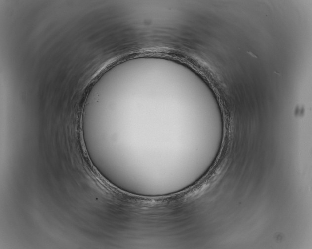 X0000091501401200708161224
