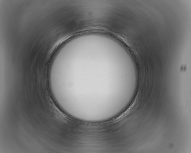 X0000091501402200708161224