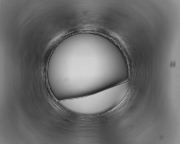 X0000091501403200708161224