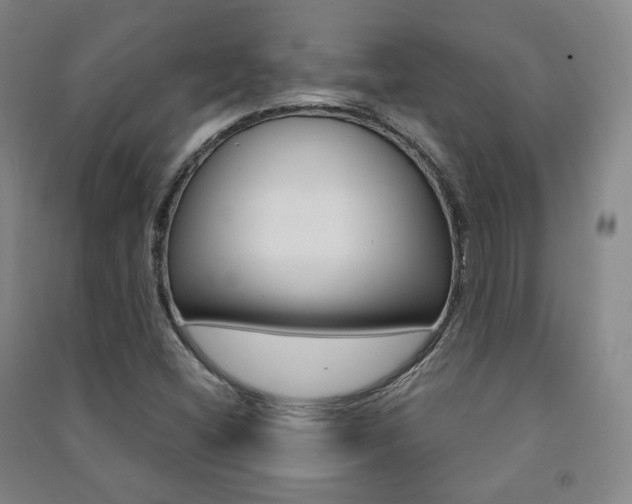 X0000091501404200708161224