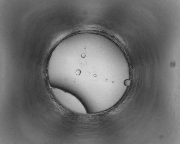 X0000091501405200708161224