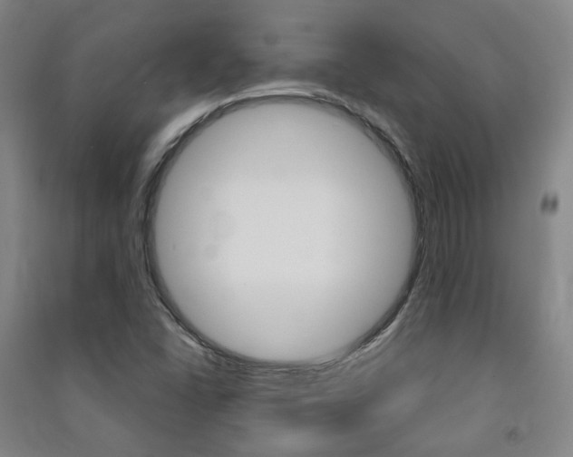 X0000091501406200708161224