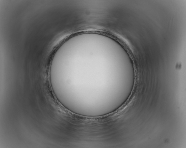 X0000091501407200708161224