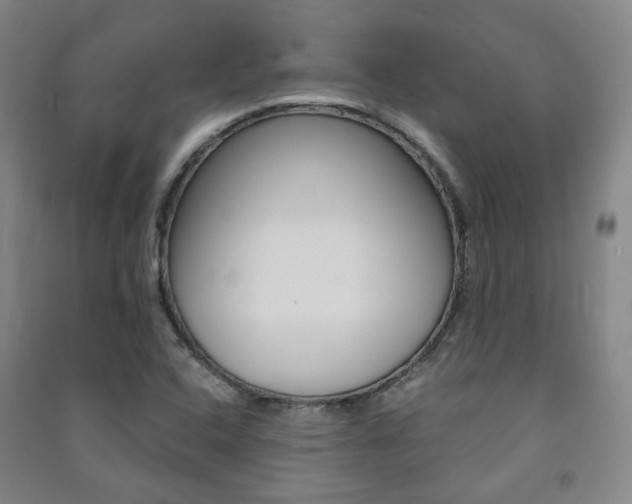 X0000091501408200708161224