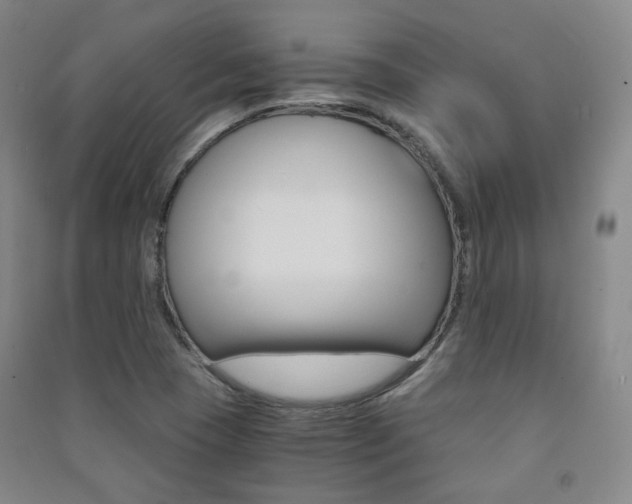 X0000091501409200708161224