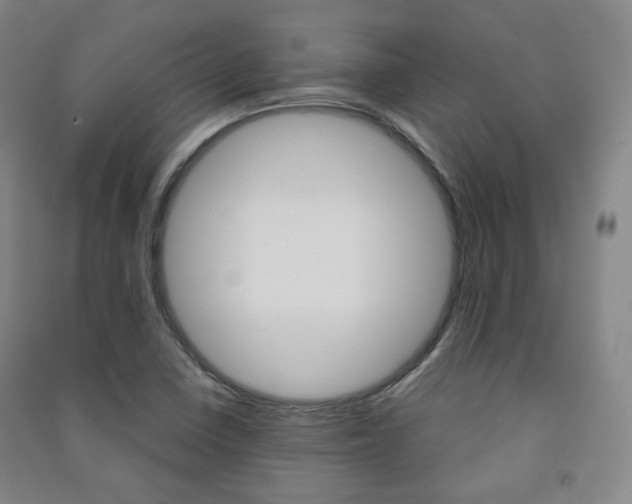 X0000091501410200708161224