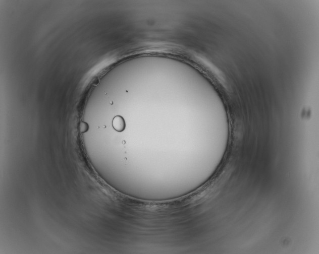 X0000091501411200708161224