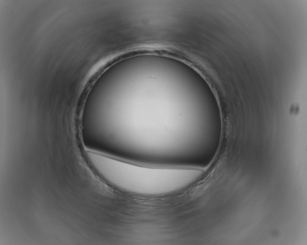 X0000091501412200708161225