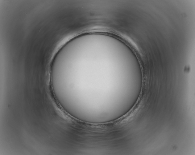 X0000091501413200708161225