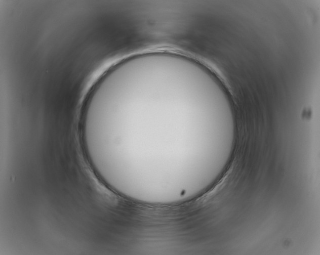 X0000091501414200708161225