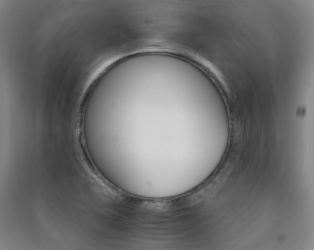 X0000091501415200708161225