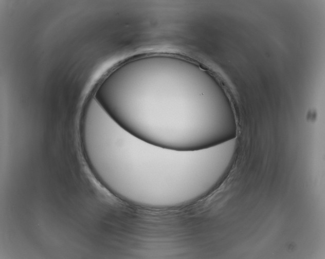 X0000091501416200708161225