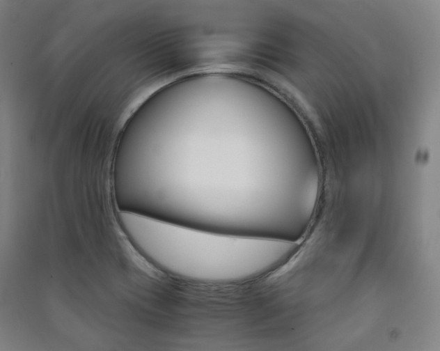 X0000091501417200708161225
