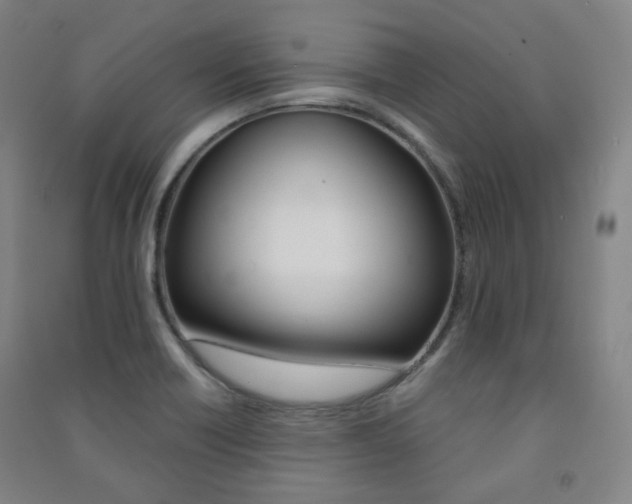 X0000091501418200708161225