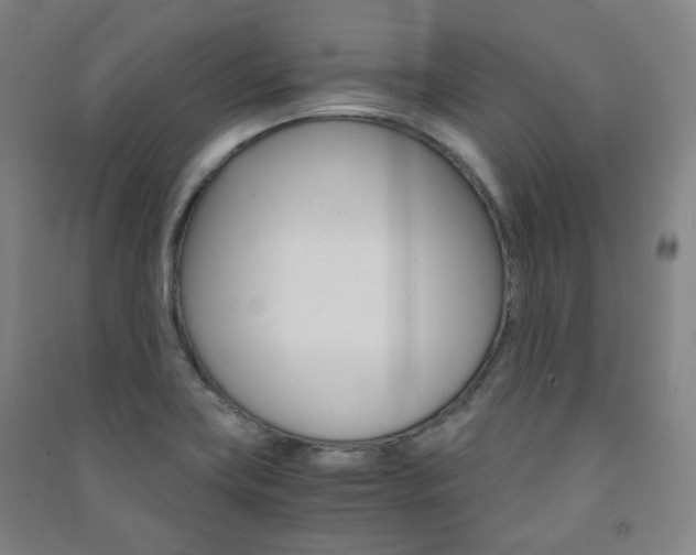 X0000091501419200708161225