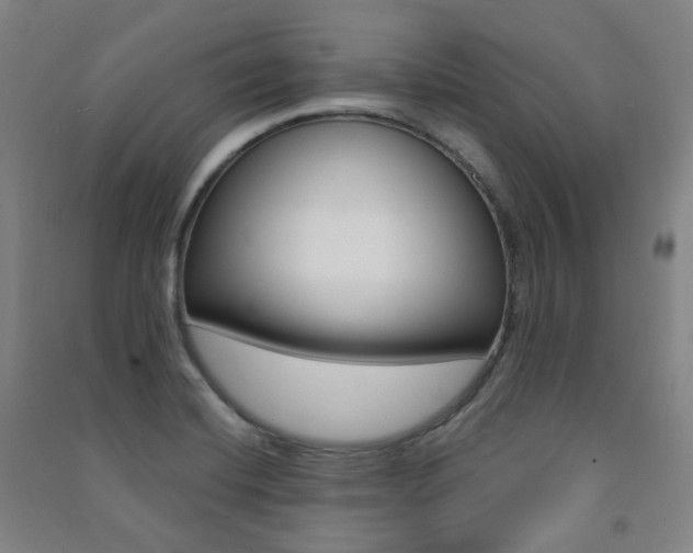 X0000091501420200708161225