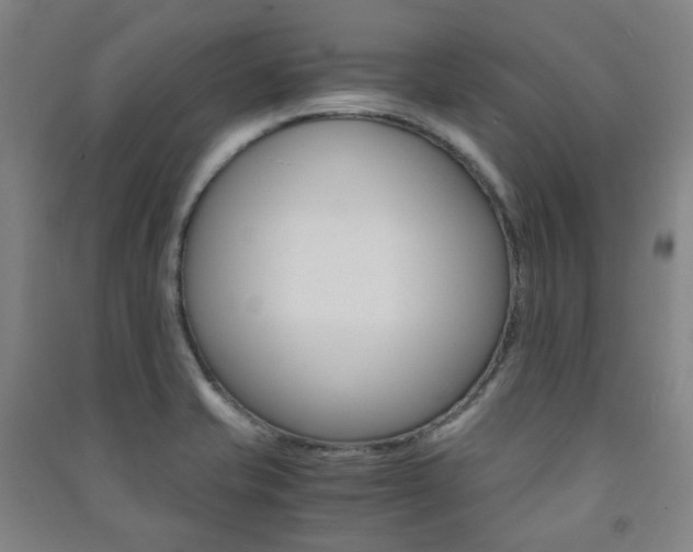 X0000091501421200708161225
