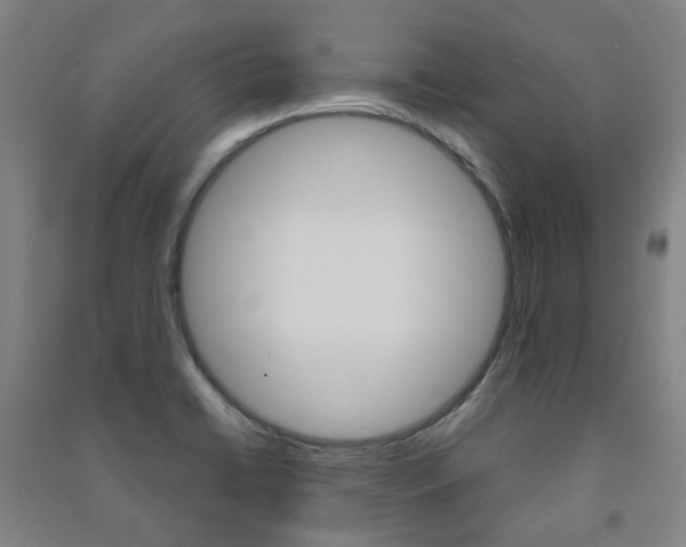 X0000091501422200708161225