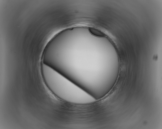 X0000091501423200708161225