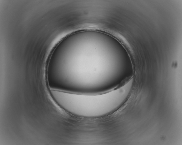 X0000091501424200708161225
