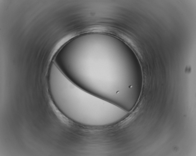 X0000091501426200708161225
