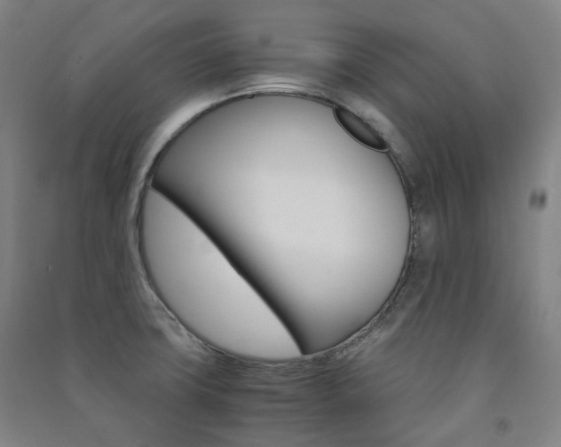 X0000091501427200708161225