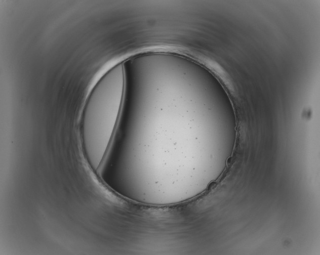 X0000091501428200708161225