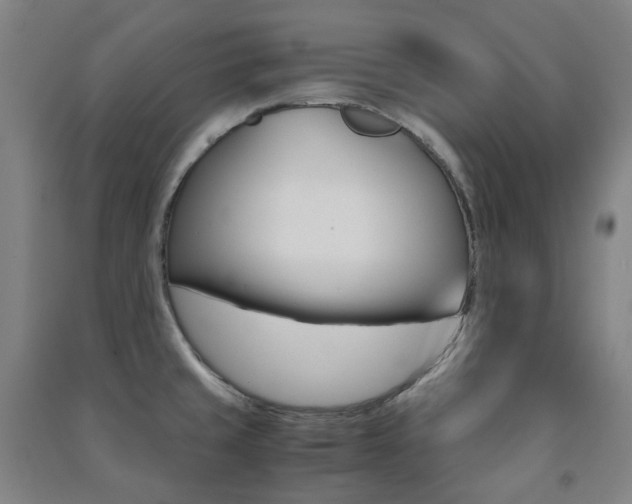 X0000091501429200708161225