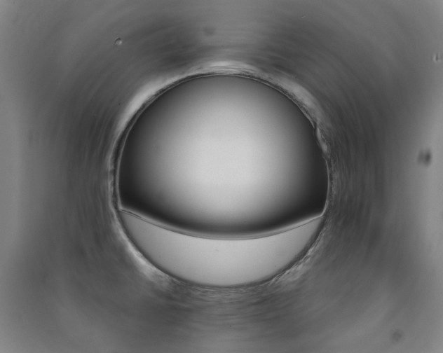 X0000091501430200708161225